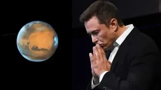 واکنش لهستان به ادعای ایلان ماسک