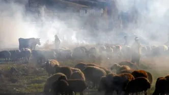 تصاویر؛ پاییز در الشتر؛ تابلوی زنده طبیعت