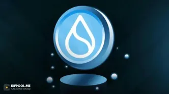 چرا قیمت سویی (SUI) امروز افزایش یافته است؟