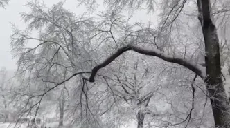 منظره زمستانی پارک مرکزی نیویورک