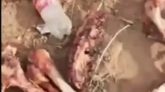 جزئیات تکان‌دهنده پرونده کشف ۳ تن گوشت الاغ در تهران