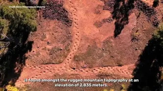 کشف سریع‌ترین دایناسور تاریخ