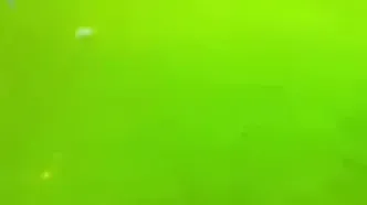 ویدئو: درگیری بازیکنان از زاویه دید دوربین داور