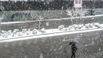 تصاویر زیبا و دل‌انگیز از بارش برف در تهران