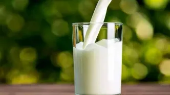 قیمت‌گذاری جنجالی تعزیرات: شیر خام ۲۹۵۰۰ تومان شد!