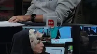 ماجرای بازداشت بازیگران سینما در یک مهمانی چه بود؟