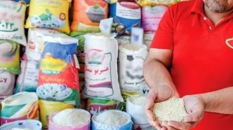 برنج بالاخره ارزان شد