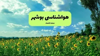 پیش بینی وضعیت آب و هوا بوشهر فردا شنبه ۱۵ آذر ۱۴۰۴ + هواشناسی بوشهر