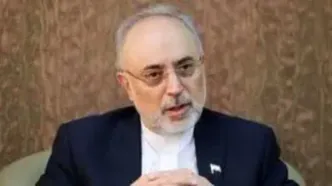 پیشنهاد صالحی برای مذاکرات ایران و آمریکا