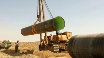 جریان حیات در فلات خشک ایران