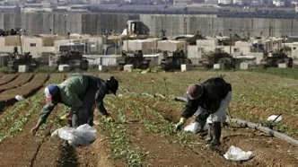 طرح مخفیانه ایران برای فلج کردن کشاورزی اسرائیل