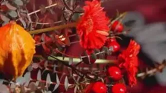 اولین جشن یلدایی مشترک مریم مومن و سهیل قاصدی