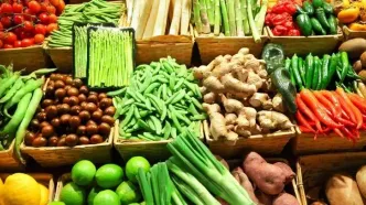 خودکفایی ایران در تولید سبزی و صیفی