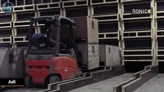 چگونه میلیاردها گل لاله در هلند پرورش داده می شود؟