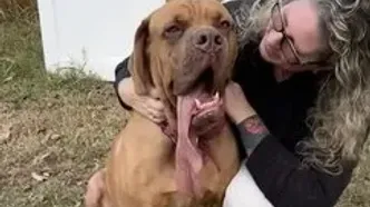 ثبت رکورد جهانی برای بلندترین زبان یک سگ