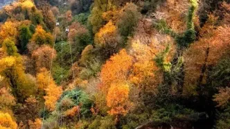 تصاویر؛ مجموعه تفریحی نمک‌آبرود