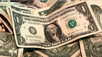 قیمت دلار مرکزمبادله گران شد