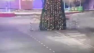 راننده‌ای با خودرو به درخت کریسمس کوبید