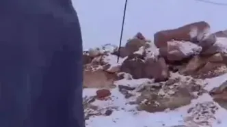 بارش برف در عربستان