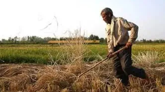 رونمایی از یک شغل عجیب در ایران با درآمد 30 میلیون تومان!