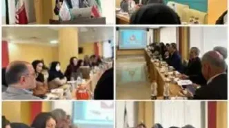 نخستین سلسله نشست‌های بنیاد بیماری‌های خاص با تمرکز بر پیشگیری و غربالگری هموفیلی برگزار شد