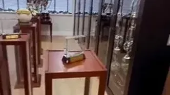 ویدئو: نگاهی به اتاق جوایز ریوالدو