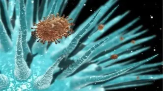 جوان ۲۶ ساله نخستین قربانی آنفلوانزا در هرمزگان