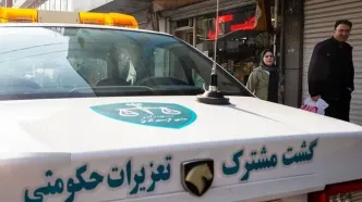 ۲۰ همت غارت از جیب مردم در ۹ ماه! تعزیرات: گرانفروشی و تقلب بی‌وقفه ادامه دارد