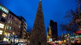 این درخت بلندترین درخت کریسمس در جهان شد + فیلم