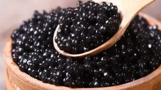 توسعه همکاری‌های شیلاتی ایران و ازبکستان با محوریت صادرات خاویار