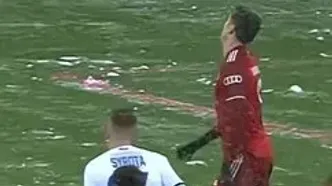 ویدئو: گل قیچی برگردان در هوای برفی