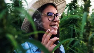 سایه سنگین روان‌پریشی و بیماری‌های قلبی بر ماری‌جوانای درمانی