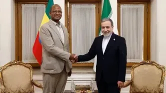 همکاری بین کشورهای منطقه در تثبیت امنیت ضروری است