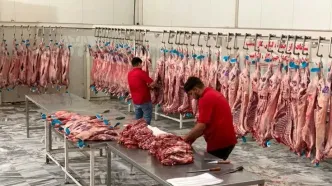 فوری: قیمت گوشت در ۲ دی ۱۴۰۴ سر به فلک کشید؛ جیب مردم خالی شد!