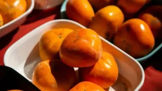 بهترین منابع غذایی برای جبران کمبود آهن معرفی شدند