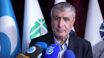 محمد اسلامی: گروسی بخشی از جریان دشمن است