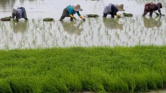 افزایش ۱۰۰ میلیون دلاری کسری تراز تجاری کشاورزی در نیمه نخست امسال