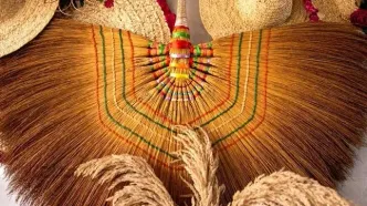 تصاویر؛ جاروبافی در مازندران