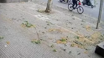 سقوط شاخه بزرگ درخت روی دوچرخه‌سوار