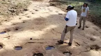 کشف دایناسور ۱۵۰ میلیون‌ساله