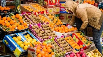 ذخیره‌سازی میوه شب عید برای تامین بازار انجام شد