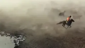 تصاویری جالب از کابوی‌های ایغدیر و هزاران رأس گاو