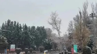 نمایی زیبا از بارش برف پائیزی در دانشگاه شهید بهشتی تهران