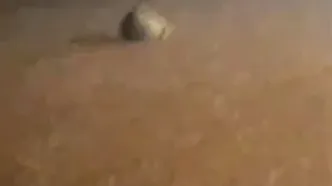 تصاویری از بارش سیل‌آسا در بندر جاسک