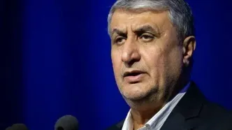 پیام تسلیت رییس سازمان انرژی اتمی در پی درگذشت اشرف بروجردی