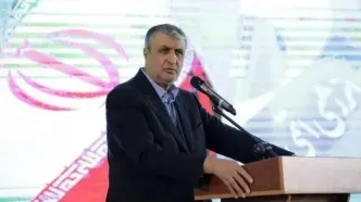 اسلامی: آژانس حق ندارد ادعای بازرسی از مراکز مورد حمله قرار گرفته شده، داشته باشد