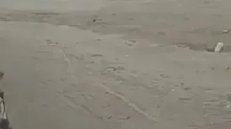 شهادت ۲ مأمور مرزبانی در سانحه رانندگی حین مأموریت مرزی