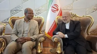 رئیس مجلس اتیوپی وارد تهران شد