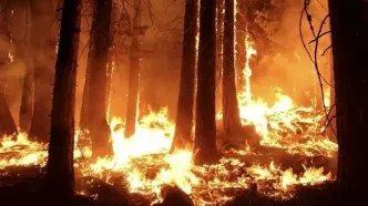 در استان مازندران حتی یک پایگاه اطفای حریق وجود ندارد!/ ضرورت ایجاد تشکیلات رسمی برای مقابله با آتش‌سوزی‌های جنگلی