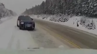 مامور پلیس کانادا با «جاخالی» به موقع از مرگ نجات یافت